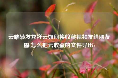 云端转发龙祥云如何将收藏视频发给朋友圈(怎么把云收藏的文件导出)