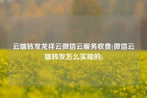 云端转发龙祥云微信云服务收费(微信云端转发怎么实现的)