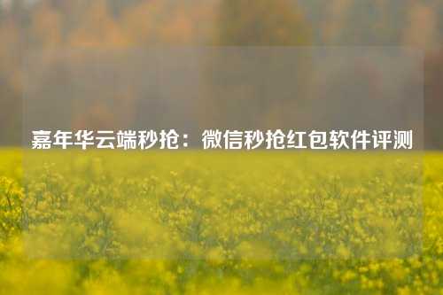 嘉年华云端秒抢：微信秒抢红包软件评测