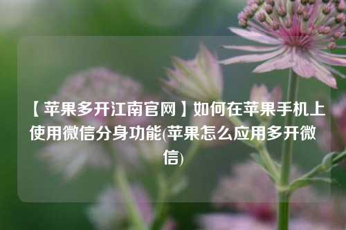 【苹果多开江南官网】如何在苹果手机上使用微信分身功能(苹果怎么应用多开微信)