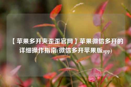 【苹果多开爽歪歪官网】苹果微信多开的详细操作指南(微信多开苹果版app)