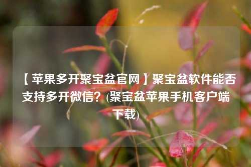 【苹果多开聚宝盆官网】聚宝盆软件能否支持多开微信？(聚宝盆苹果手机客户端下载)