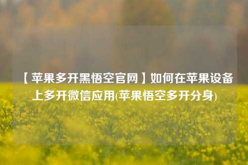 【苹果多开黑悟空官网】如何在苹果设备上多开微信应用(苹果悟空多开分身)