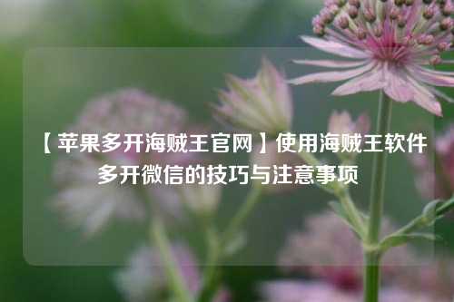 【苹果多开海贼王官网】使用海贼王软件多开微信的技巧与注意事项