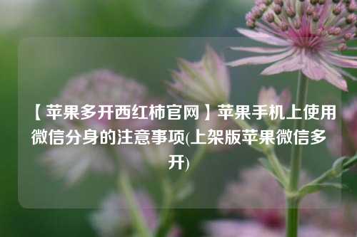 【苹果多开西红柿官网】苹果手机上使用微信分身的注意事项(上架版苹果微信多开)