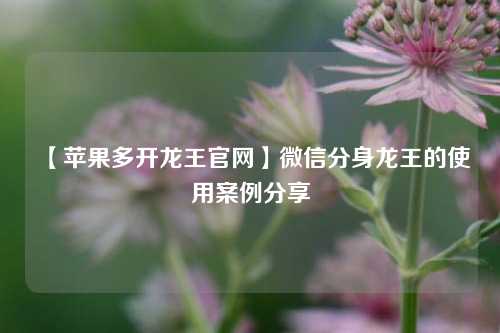 【苹果多开龙王官网】微信分身龙王的使用案例分享