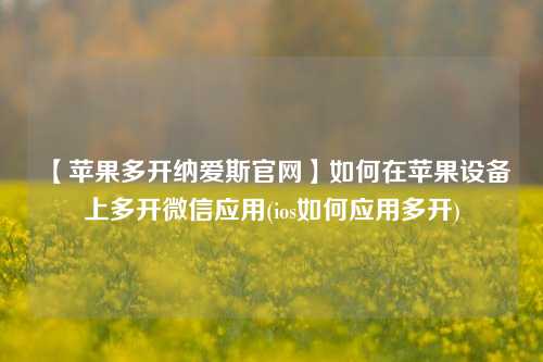 【苹果多开纳爱斯官网】如何在苹果设备上多开微信应用(ios如何应用多开)