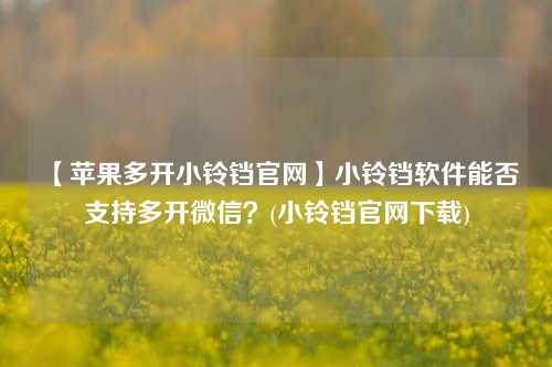 【苹果多开小铃铛官网】小铃铛软件能否支持多开微信？(小铃铛官网下载)