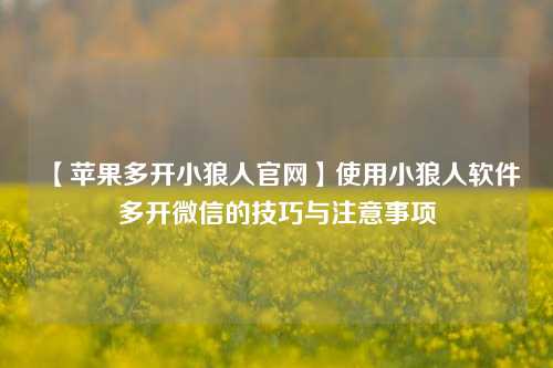 【苹果多开小狼人官网】使用小狼人软件多开微信的技巧与注意事项