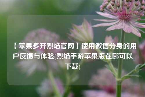 【苹果多开烈焰官网】使用微信分身的用户反馈与体验(烈焰手游苹果版在哪可以下载)