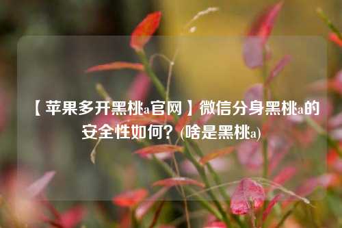 【苹果多开黑桃a官网】微信分身黑桃a的安全性如何？(啥是黑桃a)