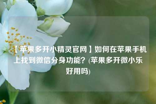 【苹果多开小精灵官网】如何在苹果手机上找到微信分身功能？(苹果多开微小乐好用吗)