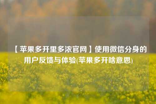 【苹果多开里多浓官网】使用微信分身的用户反馈与体验(苹果多开啥意思)