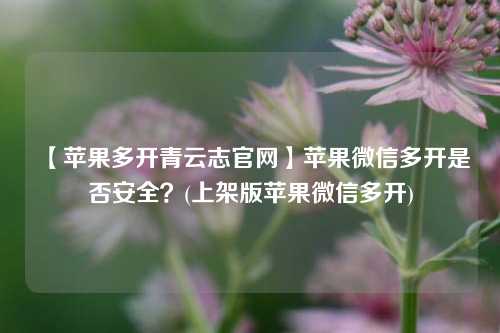 【苹果多开青云志官网】苹果微信多开是否安全？(上架版苹果微信多开)