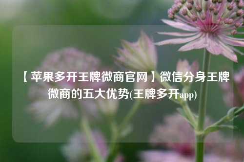 【苹果多开王牌微商官网】微信分身王牌微商的五大优势(王牌多开app)