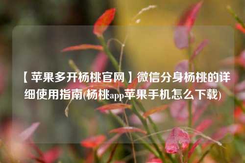 【苹果多开杨桃官网】微信分身杨桃的详细使用指南(杨桃app苹果手机怎么下载)