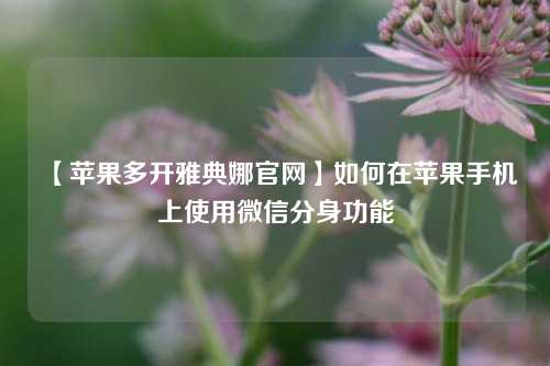 【苹果多开雅典娜官网】如何在苹果手机上使用微信分身功能