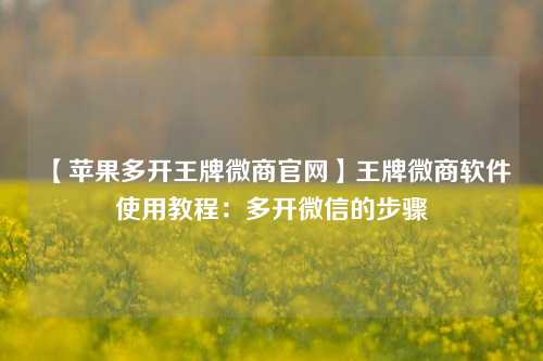 【苹果多开王牌微商官网】王牌微商软件使用教程：多开微信的步骤