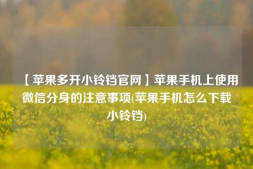 【苹果多开小铃铛官网】苹果手机上使用微信分身的注意事项(苹果手机怎么下载小铃铛)