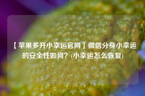 【苹果多开小幸运官网】微信分身小幸运的安全性如何？(小幸运怎么恢复)