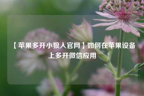 【苹果多开小狼人官网】如何在苹果设备上多开微信应用