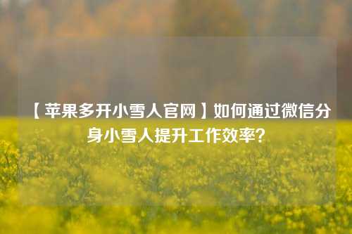 【苹果多开小雪人官网】如何通过微信分身小雪人提升工作效率？