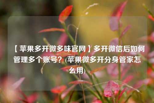 【苹果多开微多味官网】多开微信后如何管理多个账号？(苹果微多开分身管家怎么用)