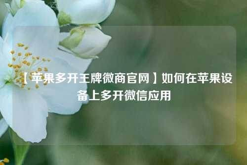 【苹果多开王牌微商官网】如何在苹果设备上多开微信应用