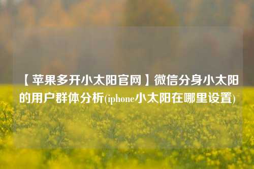 【苹果多开小太阳官网】微信分身小太阳的用户群体分析(iphone小太阳在哪里设置)