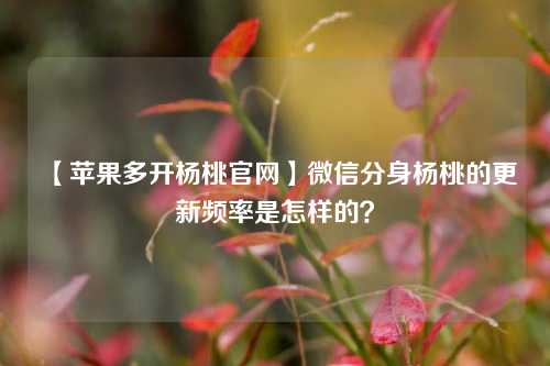 【苹果多开杨桃官网】微信分身杨桃的更新频率是怎样的？