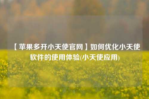 【苹果多开小天使官网】如何优化小天使软件的使用体验(小天使应用)