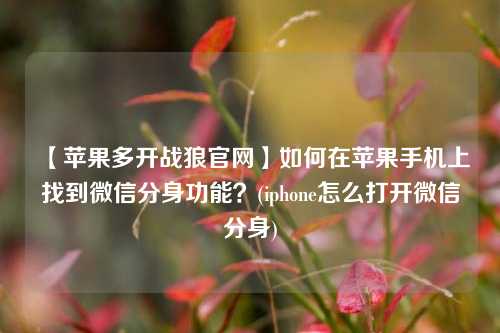 【苹果多开战狼官网】如何在苹果手机上找到微信分身功能？(iphone怎么打开微信分身)