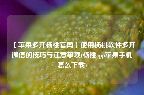 【苹果多开杨桃官网】使用杨桃软件多开微信的技巧与注意事项(杨桃app苹果手机怎么下载)