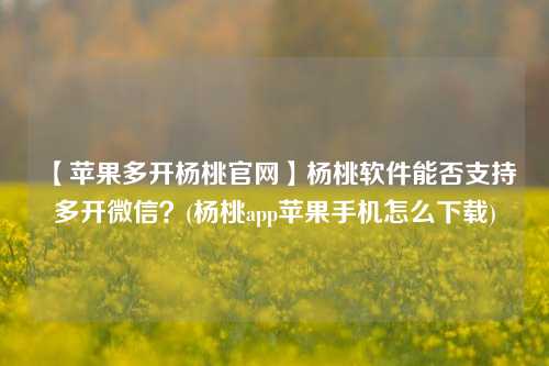 【苹果多开杨桃官网】杨桃软件能否支持多开微信？(杨桃app苹果手机怎么下载)