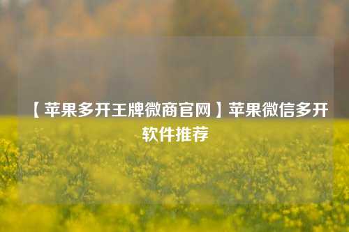 【苹果多开王牌微商官网】苹果微信多开软件推荐