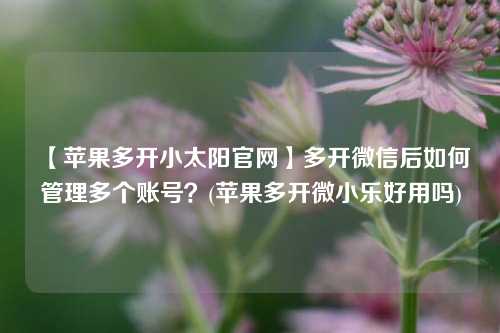 【苹果多开小太阳官网】多开微信后如何管理多个账号？(苹果多开微小乐好用吗)