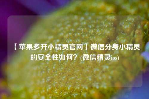 【苹果多开小精灵官网】微信分身小精灵的安全性如何？(微信精灵ios)