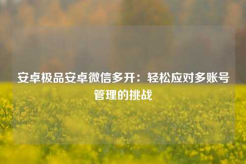 安卓极品安卓微信多开：轻松应对多账号管理的挑战