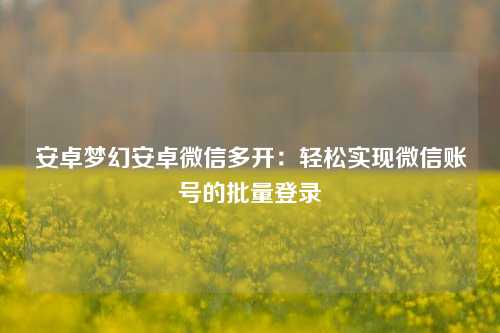 安卓梦幻安卓微信多开：轻松实现微信账号的批量登录