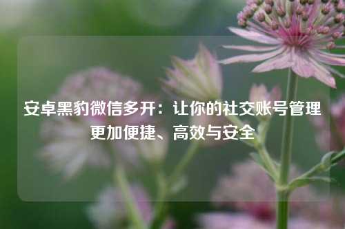 安卓黑豹微信多开：让你的社交账号管理更加便捷、高效与安全