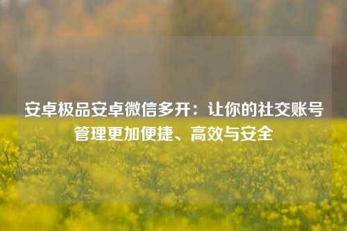 安卓极品安卓微信多开：让你的社交账号管理更加便捷、高效与安全