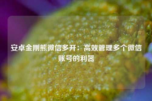 安卓金刚熊微信多开：高效管理多个微信账号的利器