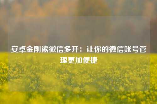 安卓金刚熊微信多开：让你的微信账号管理更加便捷