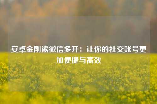 安卓金刚熊微信多开：让你的社交账号更加便捷与高效