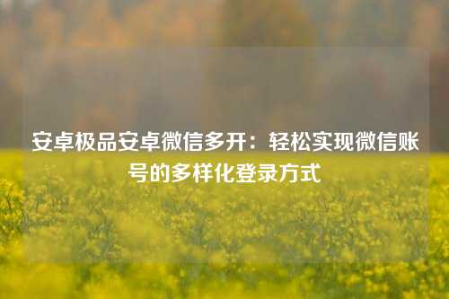 安卓极品安卓微信多开：轻松实现微信账号的多样化登录方式