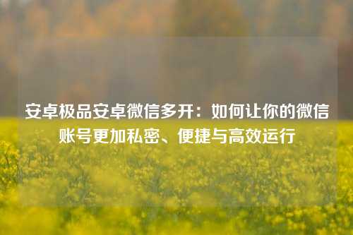 安卓极品安卓微信多开：如何让你的微信账号更加私密、便捷与高效运行