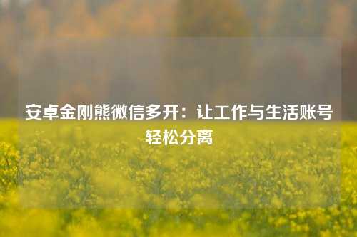 安卓金刚熊微信多开：让工作与生活账号轻松分离