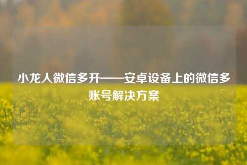 小龙人微信多开——安卓设备上的微信多账号解决方案