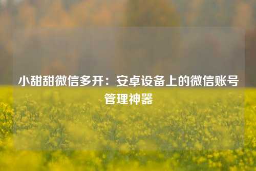 小甜甜微信多开：安卓设备上的微信账号管理神器