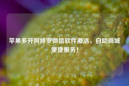 苹果多开阿修罗微信软件激活，自助商城便捷服务！